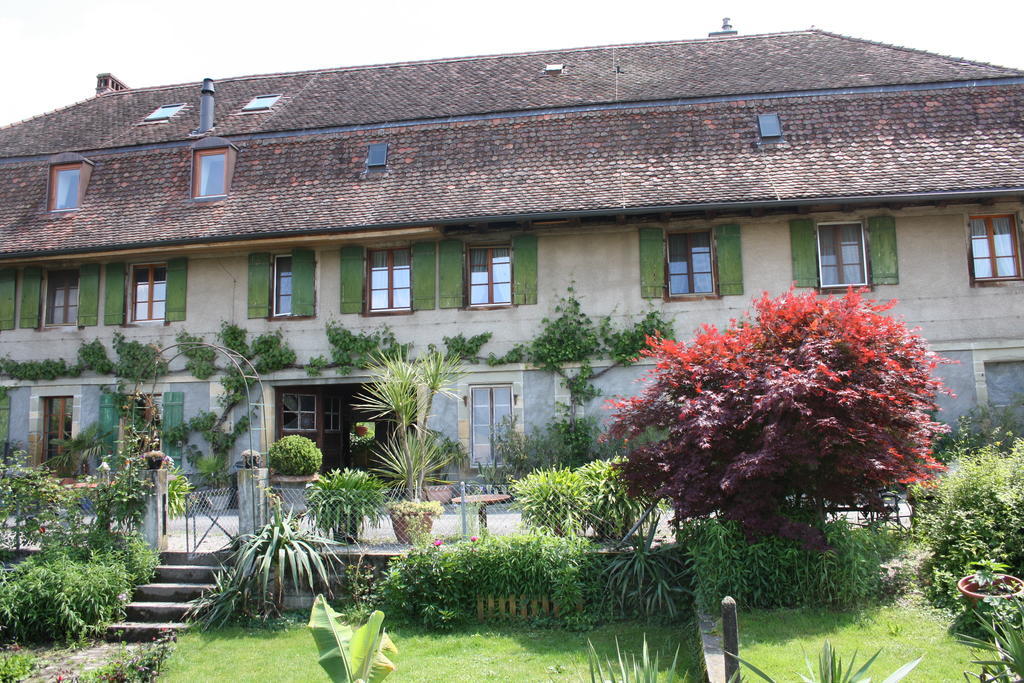 Ferienhaus Ofenhaus *